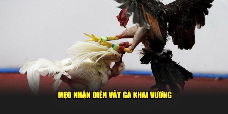 Mẹo nhận diện vảy gà khai vương